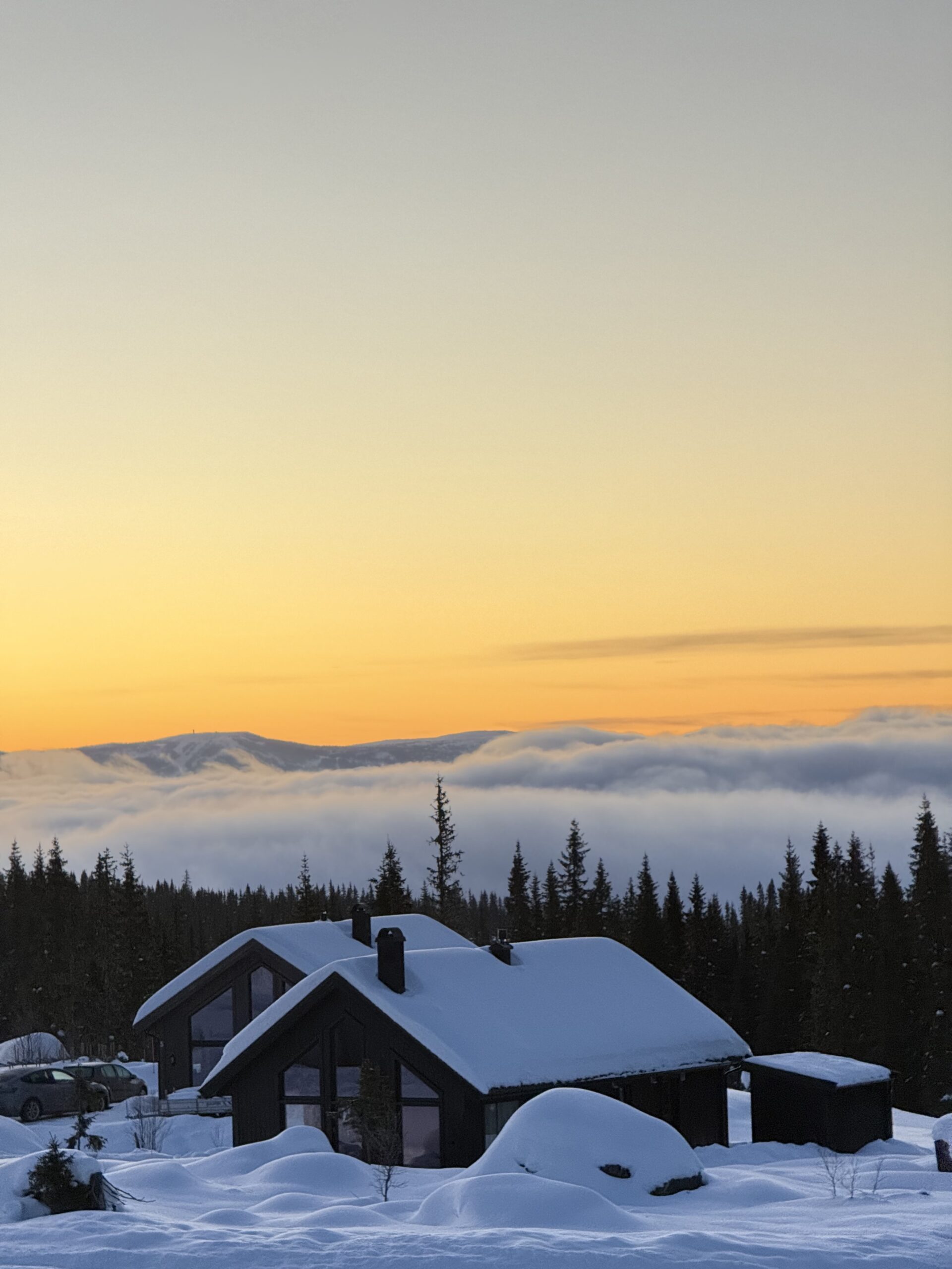 image00068